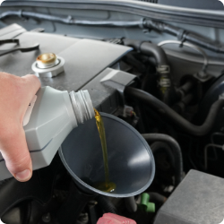 Tacoma Brake Caliper & Rotor